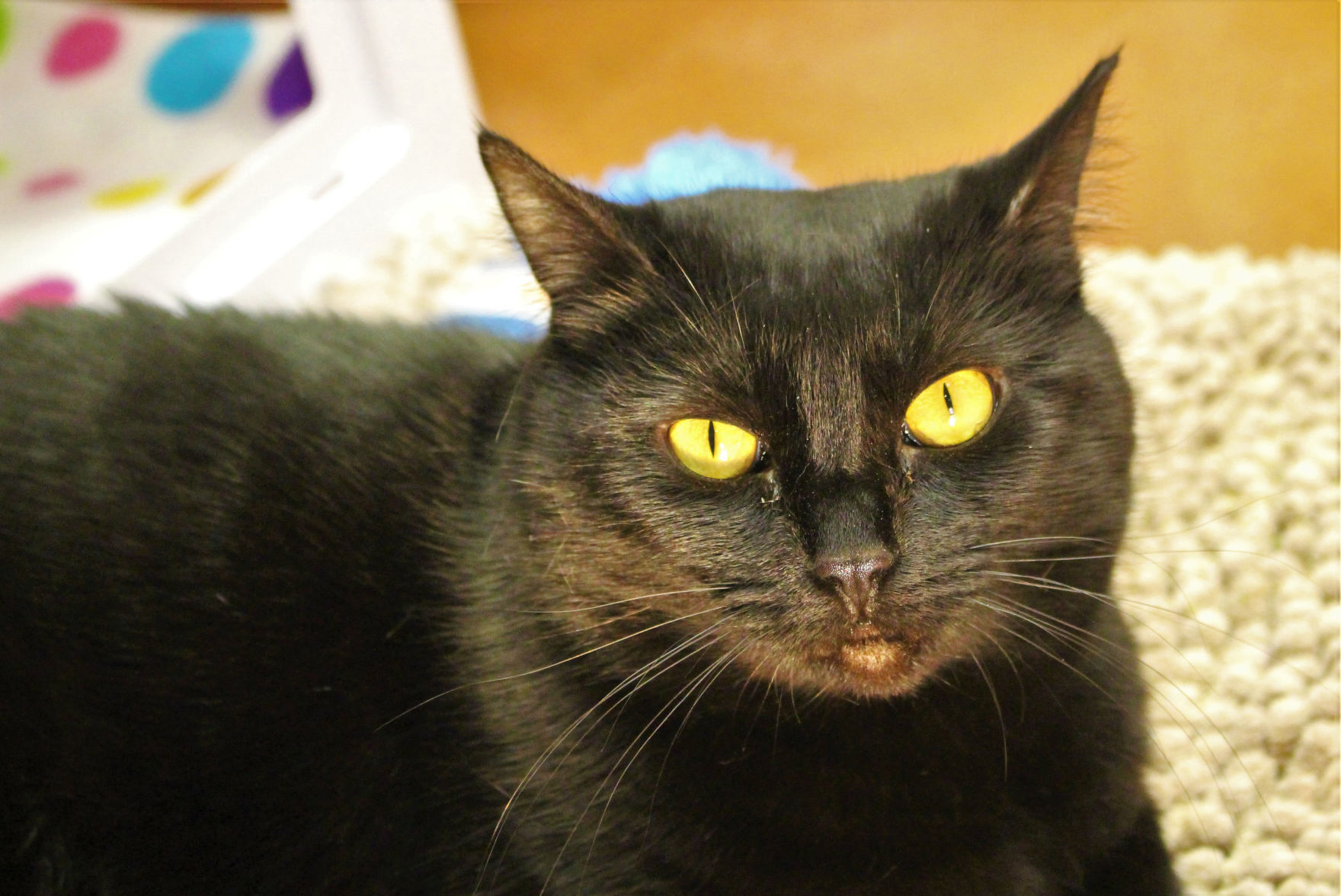 Salem